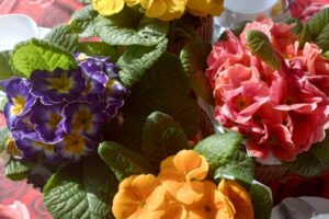 IMG_20260310_131621816_HDR